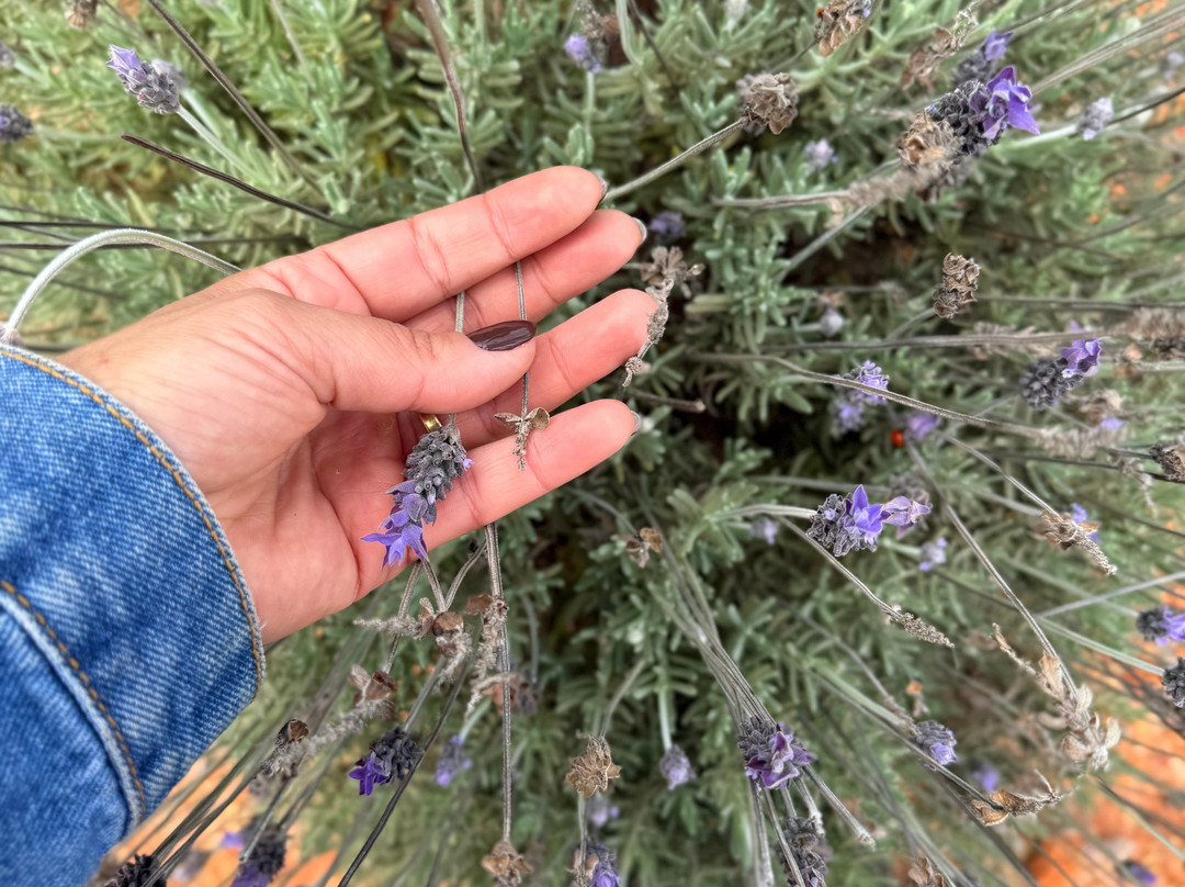 Quadrixtreme passeios-蒙特贝尔德必去景点