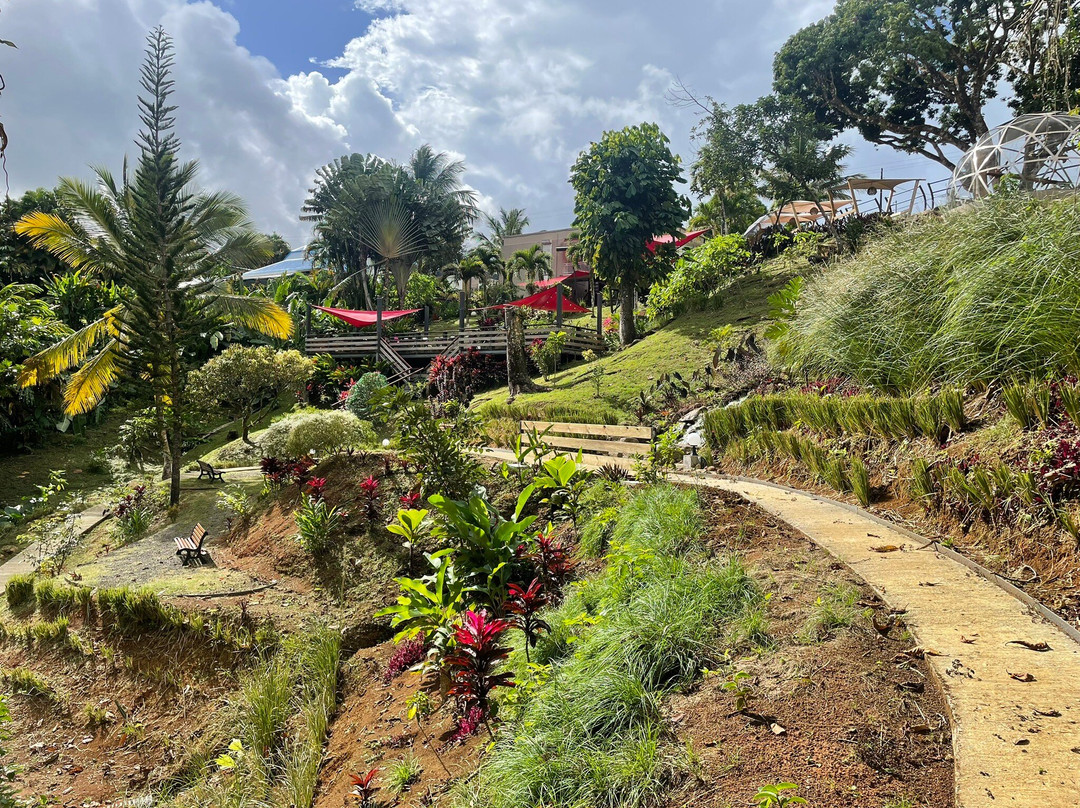 Les Bieres de la Lezarde-Petit-Bourg必去景点