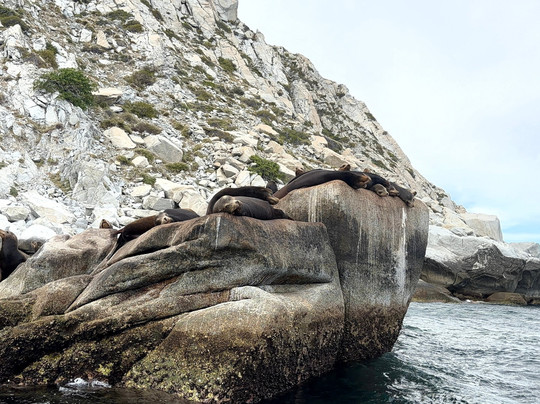 Cabo Pulmo Sport Center-Cabo Pulmo必去景点