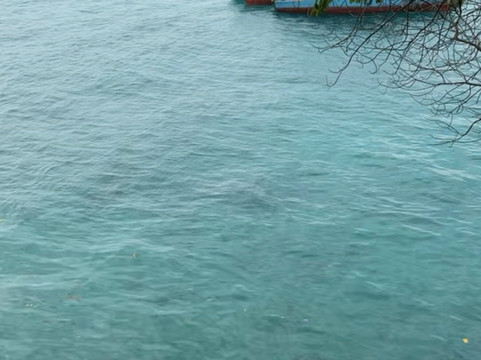 Essence Tours & Safaris Africa-桑给巴尔岛必去景点