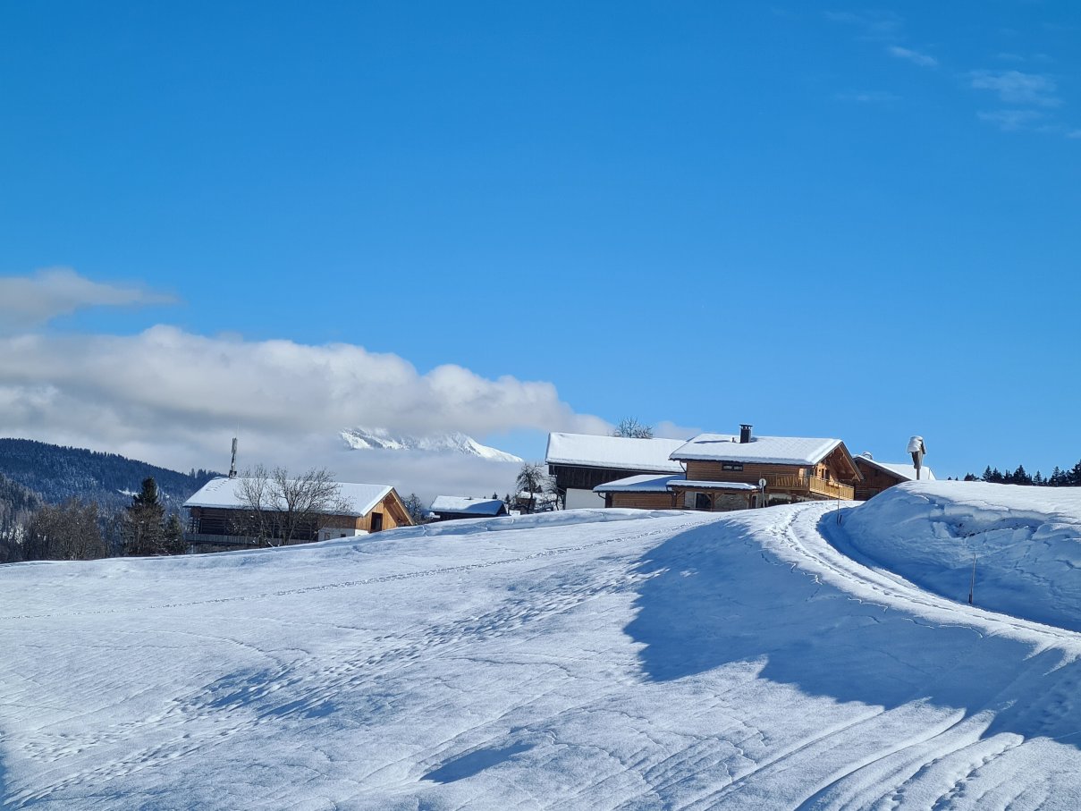 阿尔盆霍夫沃雷耶斯旅馆-官方