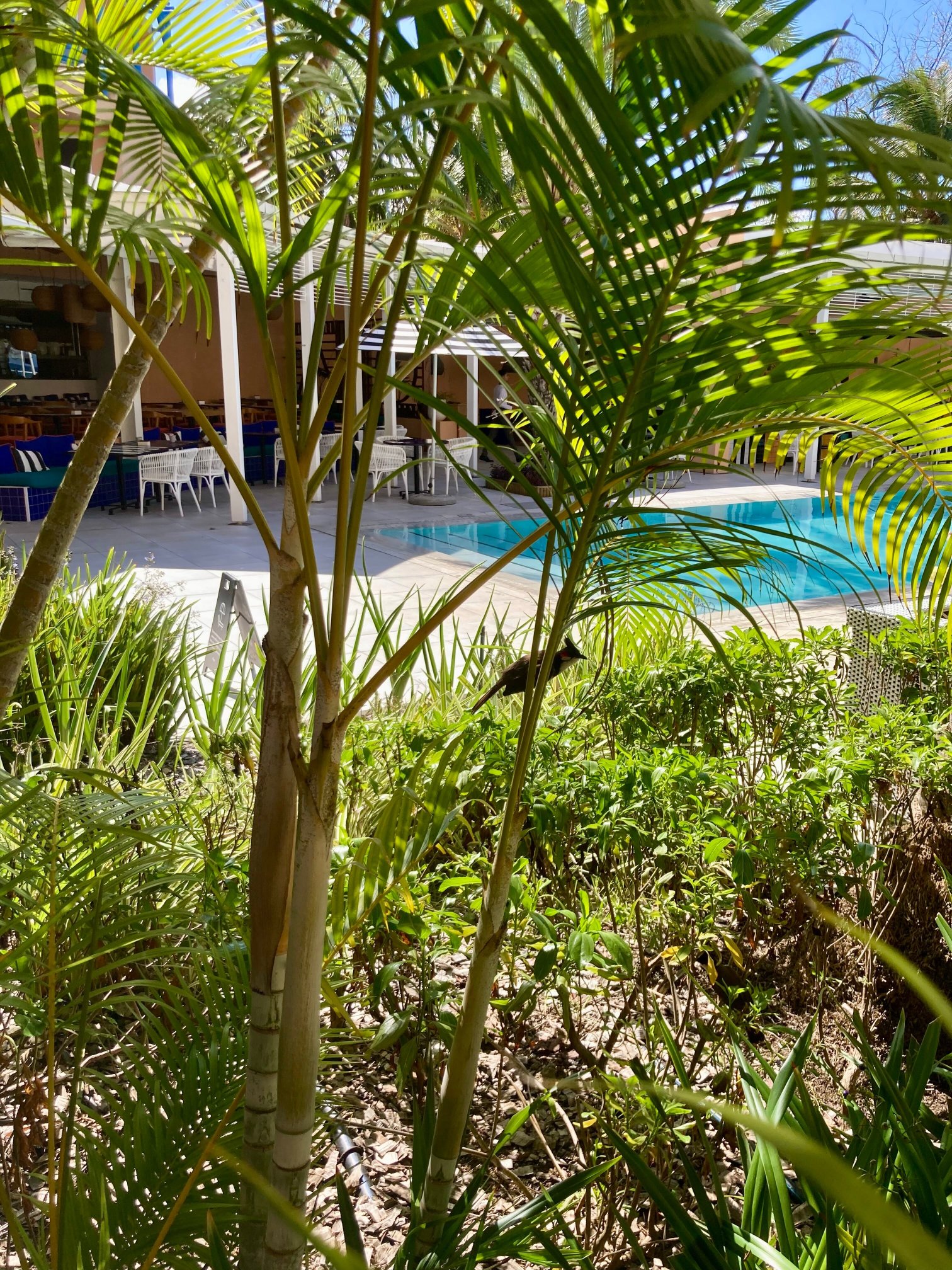 SALT of Palmar, An Adult-only Boutique Hotel-浴室