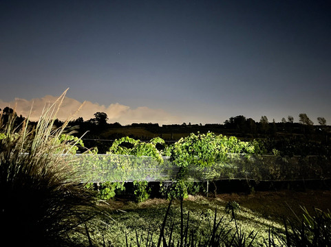 Bracco Bosca-Atlantida必去景点