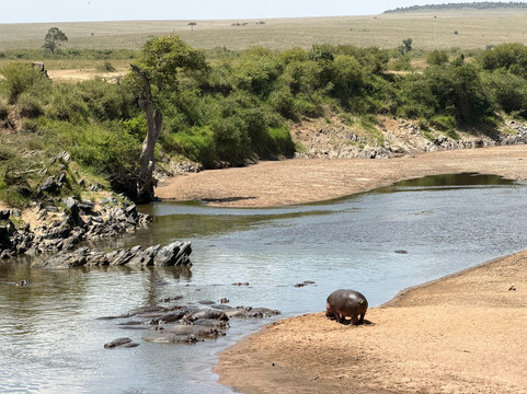 Join African  Savanah-Karen必去景点