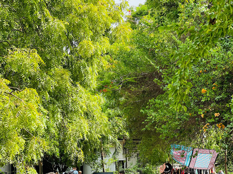 The Diani Beach Shopping Centre-迪亚尼必去景点