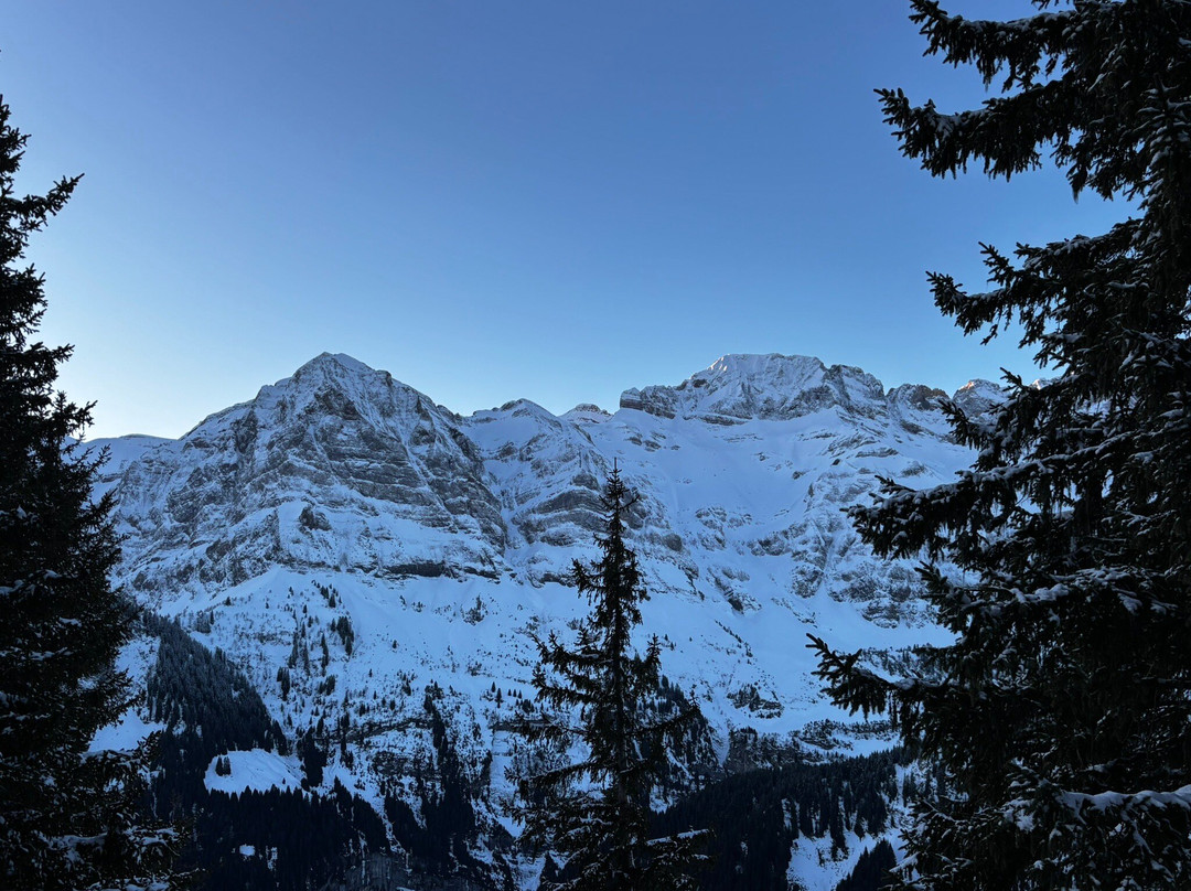 皮勒恩彩虹酒店主图