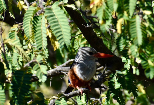 La Fora Ecolodge主图