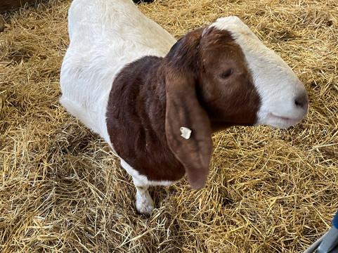 Farm Stop-Portlethen必去景点