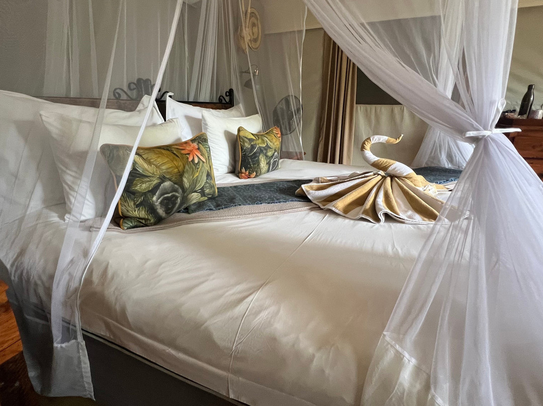 Umkumbe Bush Lodge - Luxury Tented Camp主图