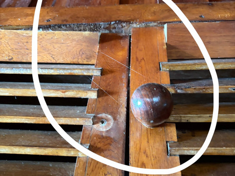 Chauve Souris Relais主图