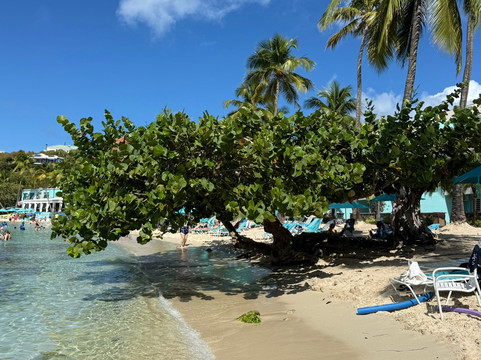 Secret Harbour-圣 托马斯必去景点