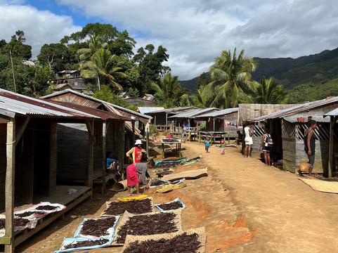 Masoala Nature Guide and Tours Organize-Maroantsetra必去景点