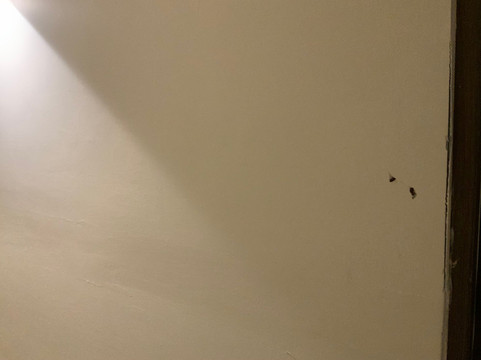 真实蒙特雷酒店