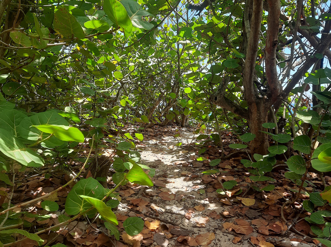Windward Bay Beach-英吉利海港必去景点
