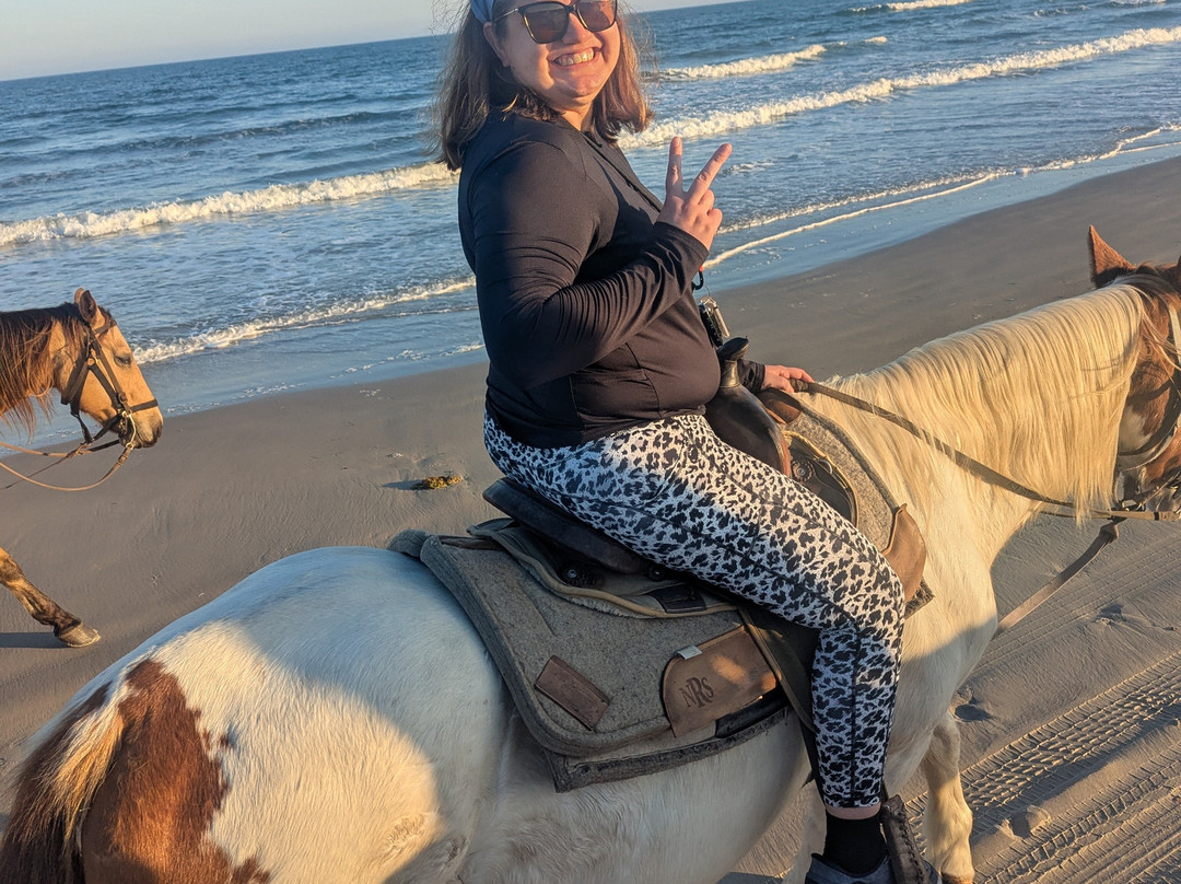 Horses On The Beach: Corpus Christi-科珀斯克里斯蒂市必去景点