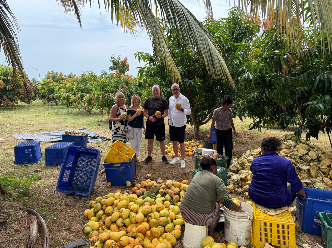 Sam Tours Hambantota-Hambantota必去景点