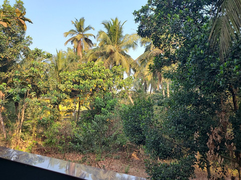 John's Highland Comfort (Guest House)主图