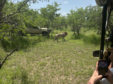 NICE ADVENTURE SAFARI-Dar es Salaam必去景点