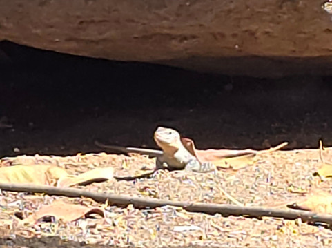 Hotel Princess 塔乌里托- 全包 Plus主图