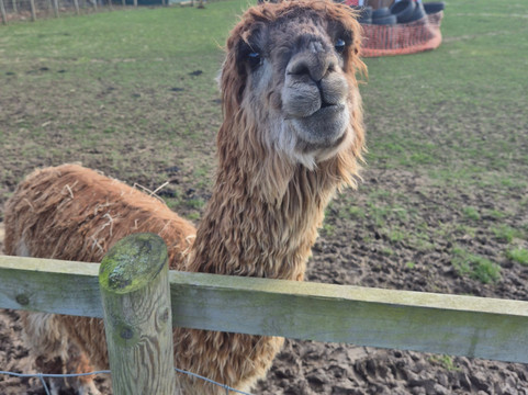 Wroxham Barns-Hoveton必去景点