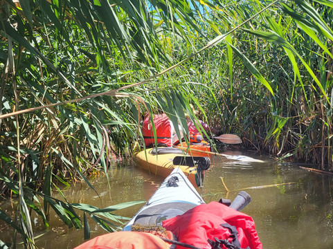 Danube Delta Kayaking tours & Camping (Mila 23)-Mila 23必去景点