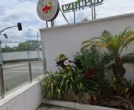 Ecuagenera - Orchids from Ecuador-昆卡必去景点