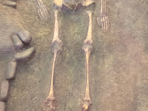 Museo del Limarí-Ovalle必去景点