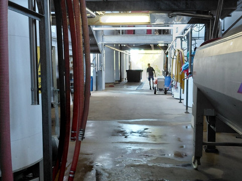 Sirromet Wines-棉花山必去景点