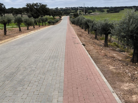 Vila Galé Collection Monte do Vilar  杜罗酒庄与自然度假村主图