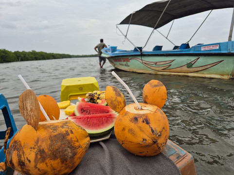Liam Boat Safari-尼甘布必去景点