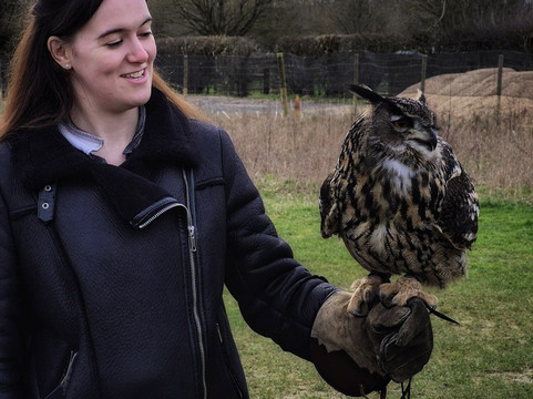 Millets Farm Falconry Centre-弗里福德希斯必去景点