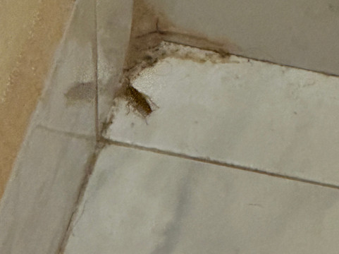 麦迪逊东北/温莎戴斯酒店主图