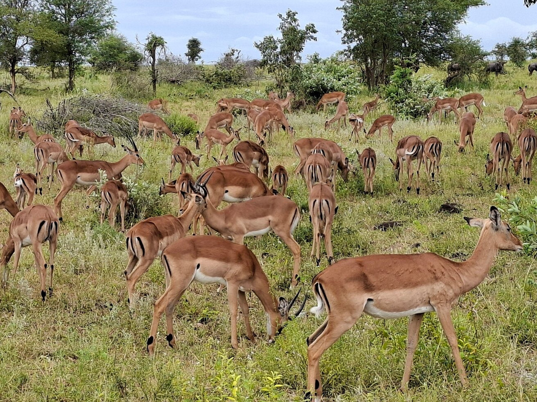 Legends of Africa-霍德斯普鲁特必去景点