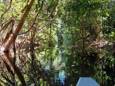 Amazon Green Island tour-Novo Airao必去景点