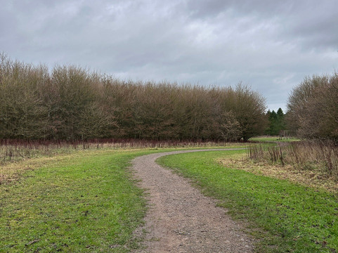 Nightingale Woods-斯温顿必去景点