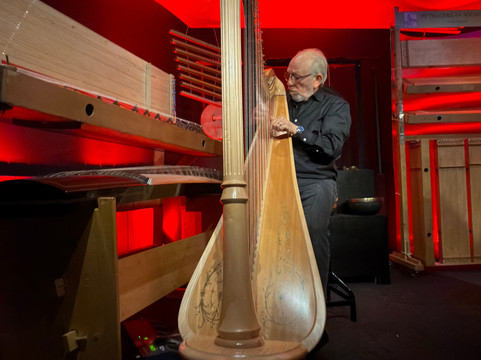 Luc Vanlaere Harpist - Harp Museum-布鲁日必去景点