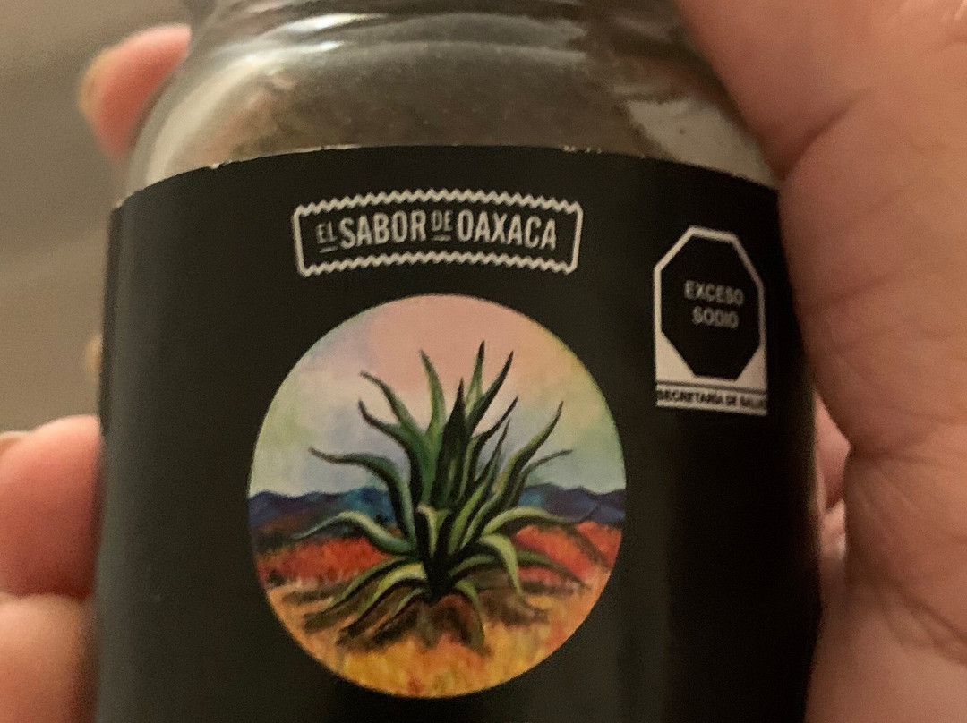 Coyoacan Market-墨西哥城必去景点