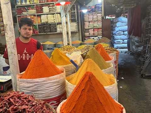 Royal Bengal Tours-达卡市必去景点