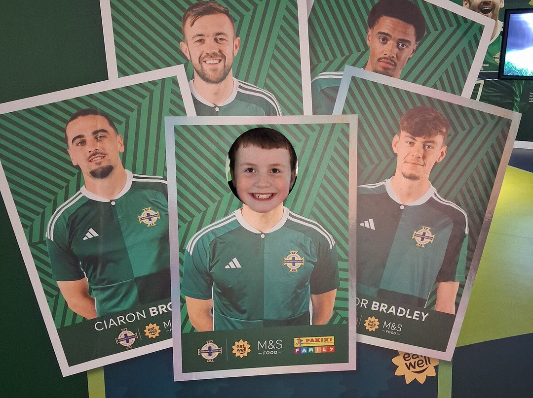 Irish FA Tours-贝尔法斯特必去景点