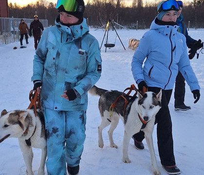 Pirate Husky-Borselv必去景点