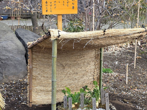 Mukojima Hyakkaen-墨田区必去景点