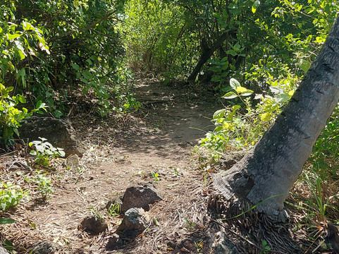 Morgan's Head-Providencia Island必去景点