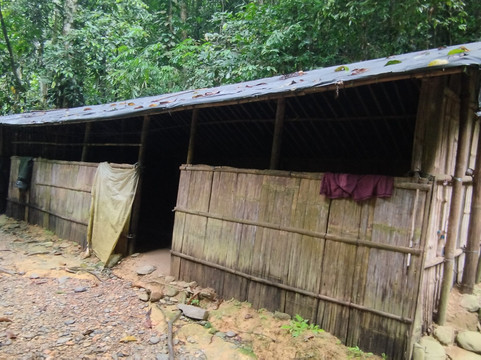 Sumatra Tour & Travel Bukit Lawang-武吉拉旺必去景点