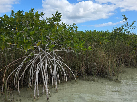 Laguna Kaan Luum-图伦必去景点