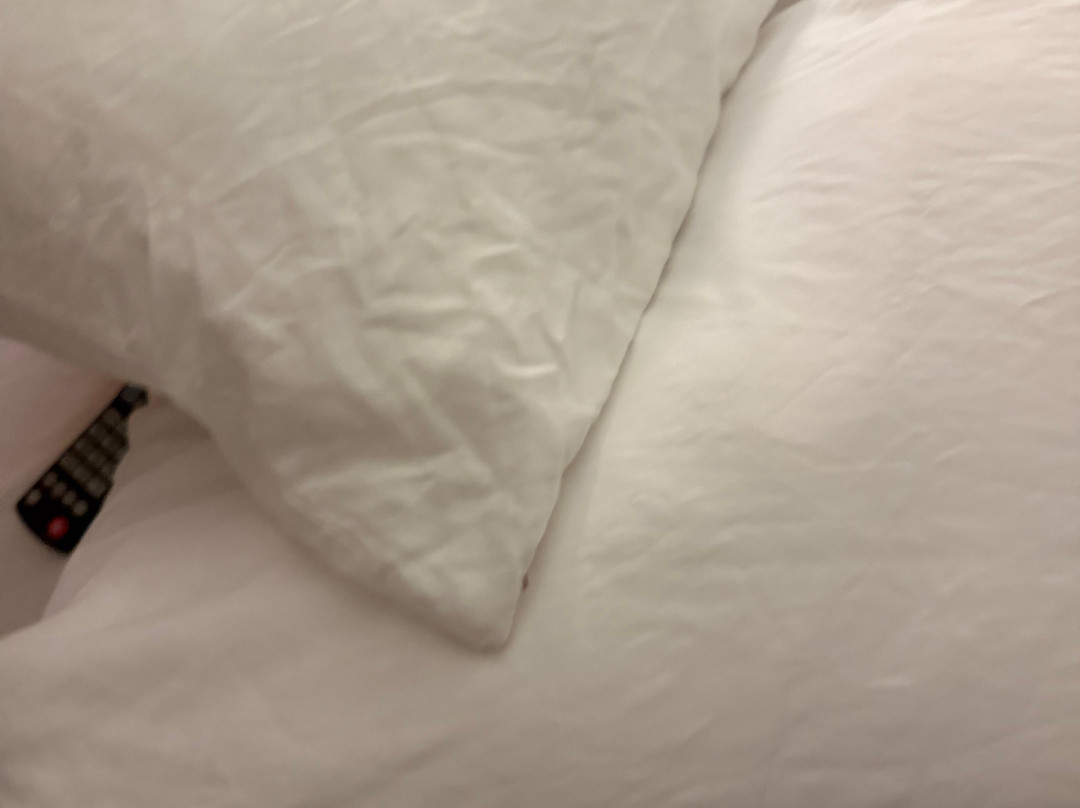 斯泰茨伯勒希尔顿惠庭酒店主图