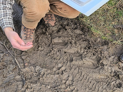 Hartibaciu Nature Tours-Hosman必去景点