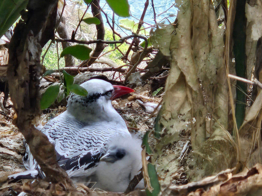 Eureka Natural History Tours-斯卡伯勒必去景点