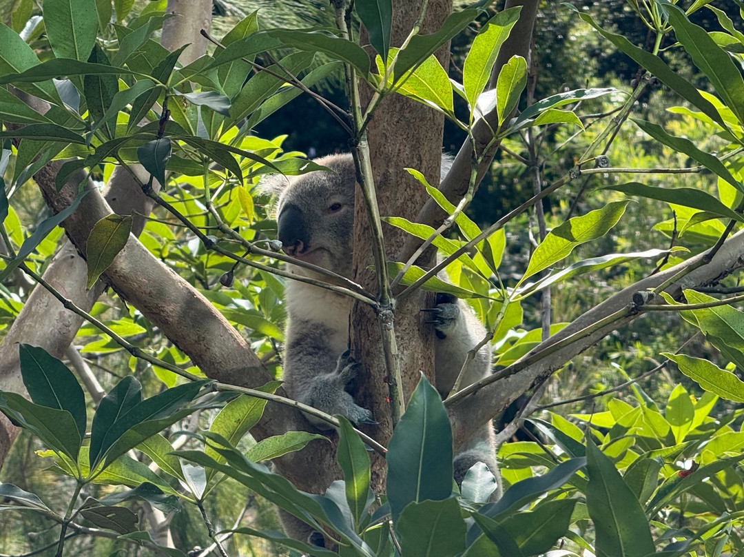 悉尼塔龙加野生动物保护区酒店主图
