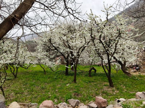 乌利吉酒店主图