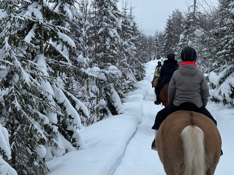 Ruska Laukka-库萨莫必去景点